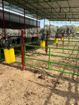 Hayvan Kaşıma Fırçası - 4