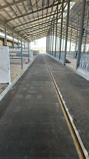 Rubber Flooring - 2