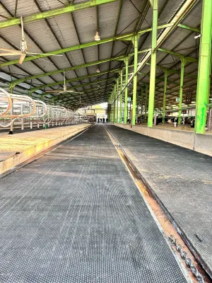 Rubber Flooring - 3